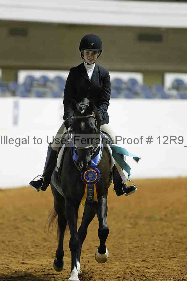 Proof Number 12r9_0706