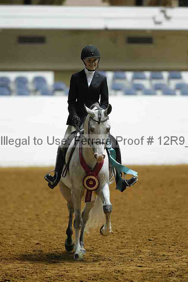 Proof Number 12r9_0709