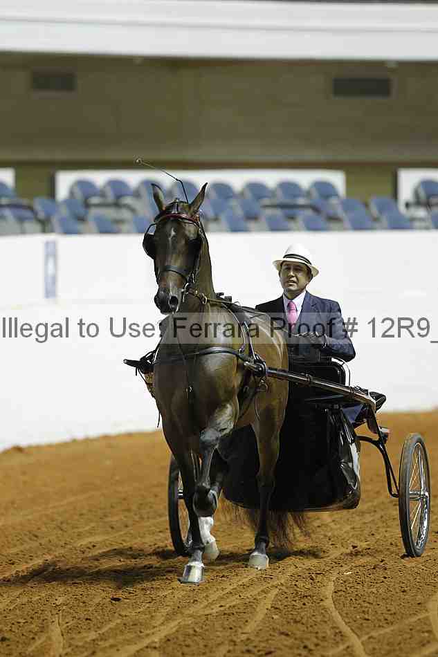 Proof Number 12r9_0716