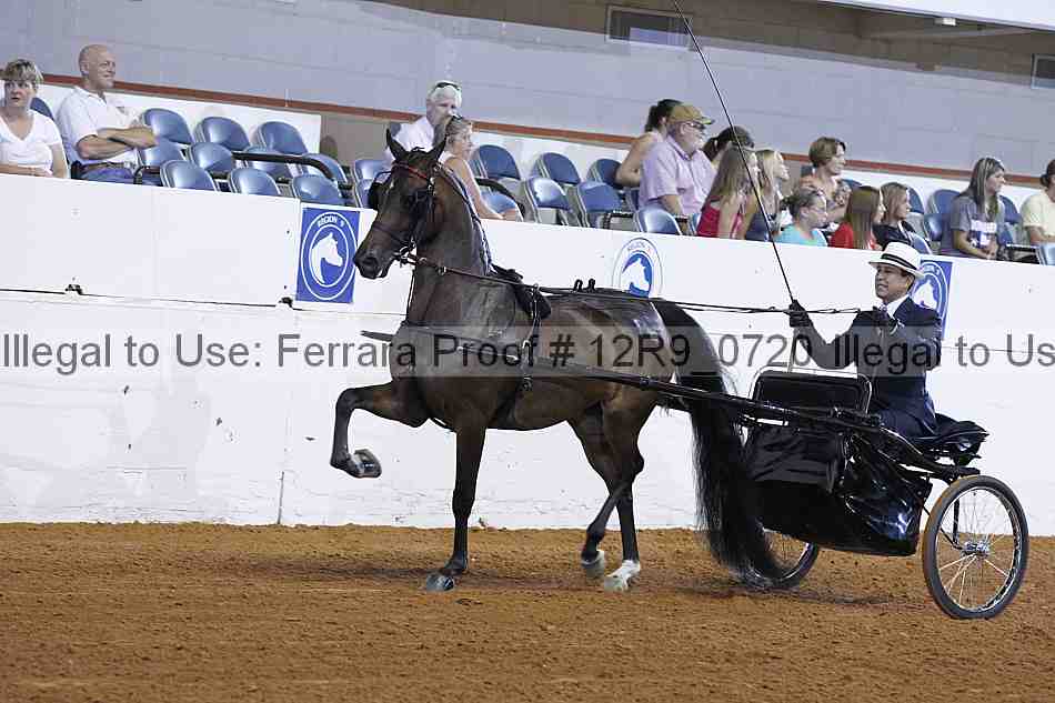 Proof Number 12r9_0720