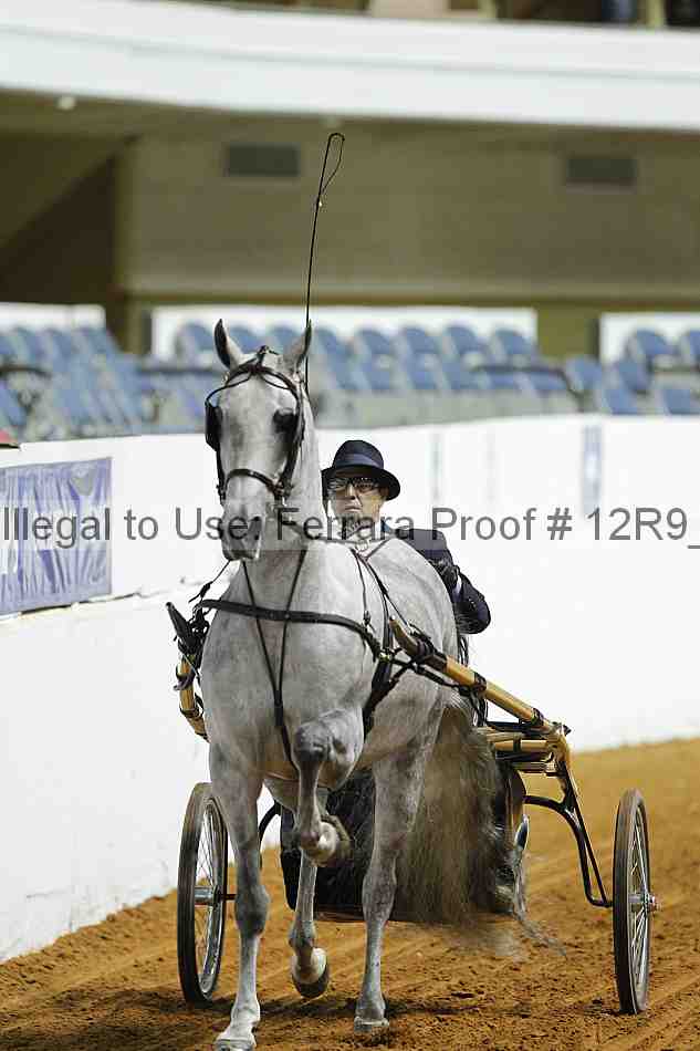 Proof Number 12r9_0730