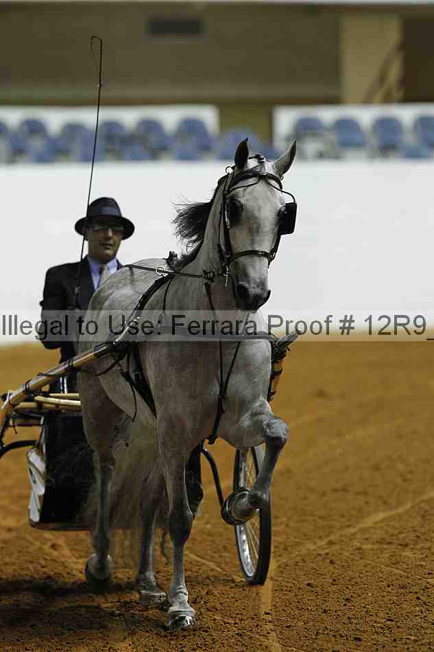 Proof Number 12r9_0752