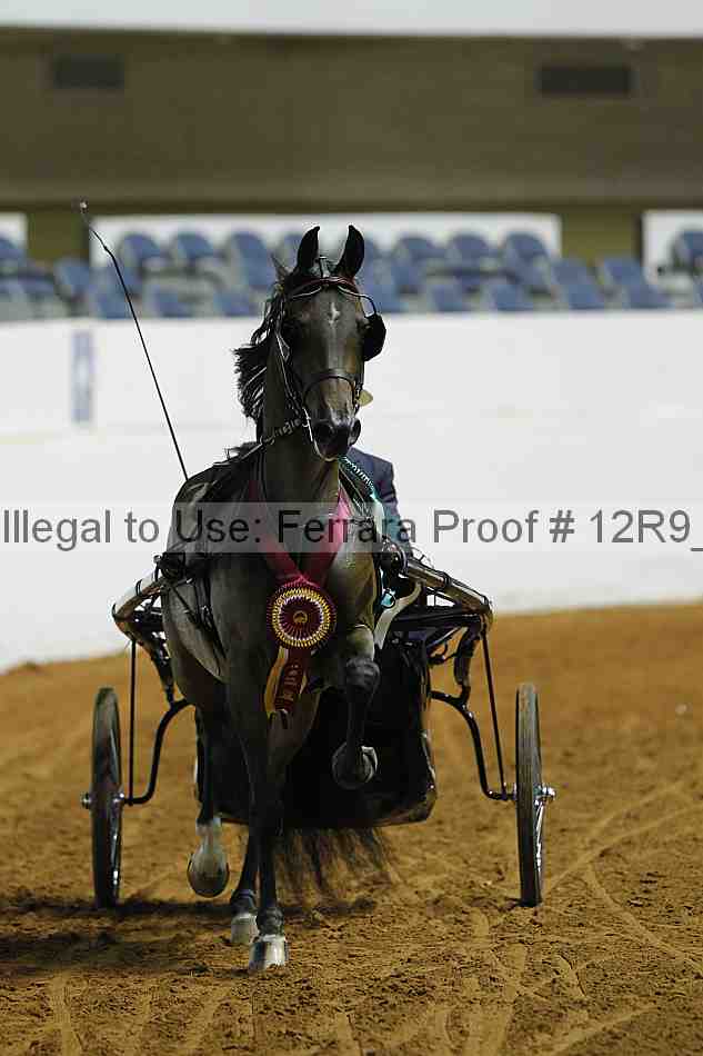 Proof Number 12r9_0757