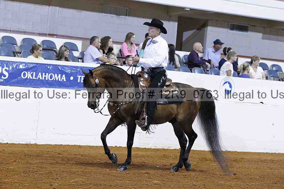 Proof Number 12r9_0763
