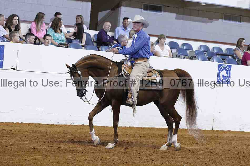 Proof Number 12r9_0767