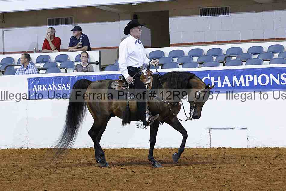 Proof Number 12r9_0787