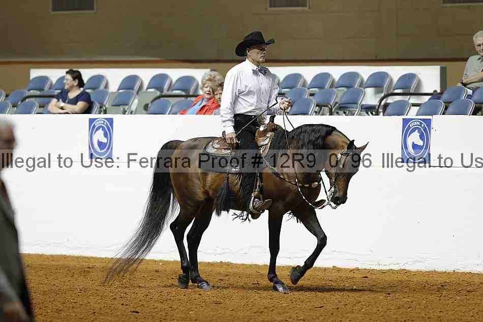 Proof Number 12r9_0796