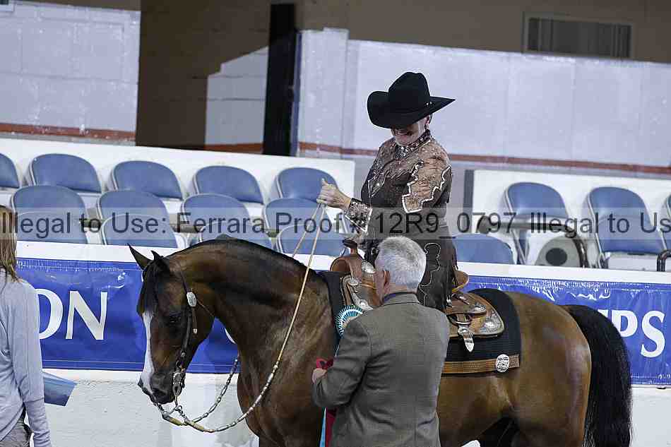 Proof Number 12r9_0797