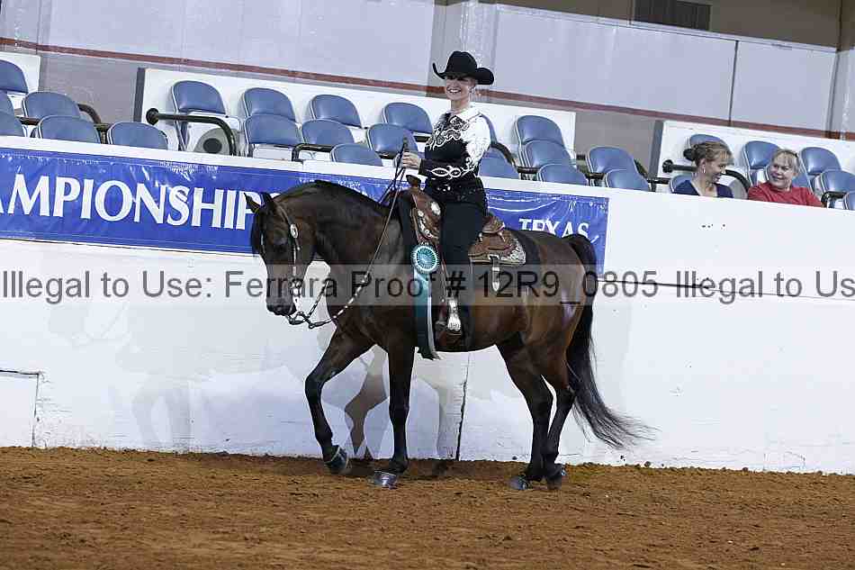 Proof Number 12r9_0805