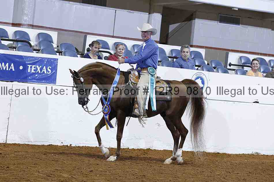 Proof Number 12r9_0810