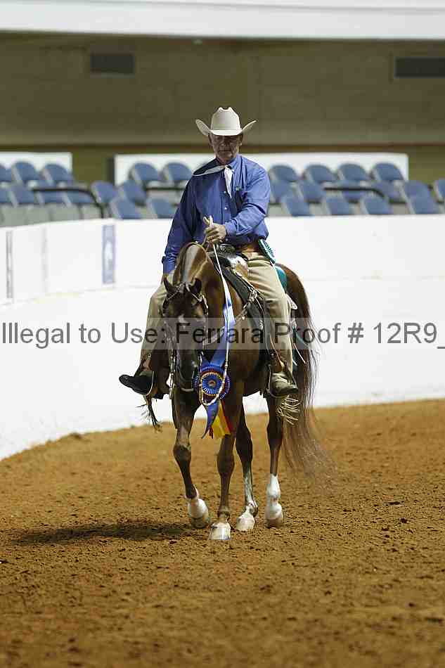 Proof Number 12r9_0818