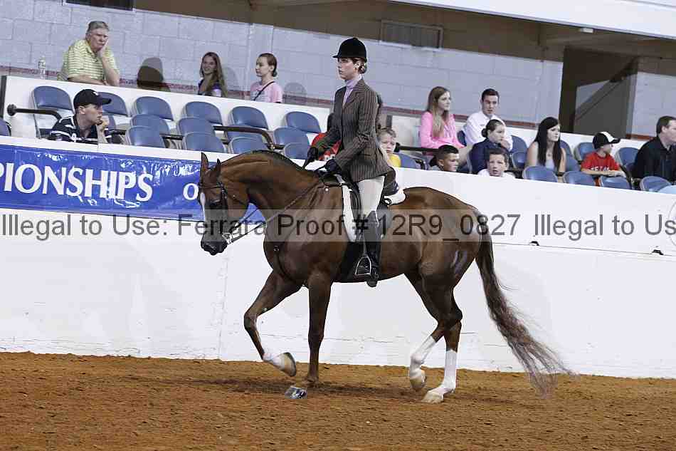 Proof Number 12r9_0827