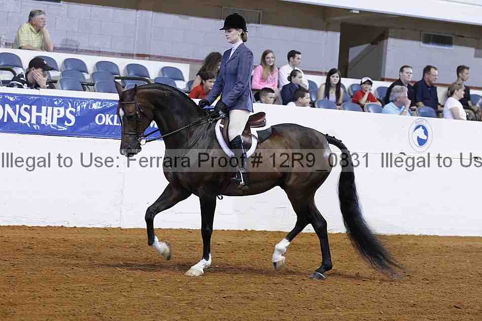 Proof Number 12r9_0831
