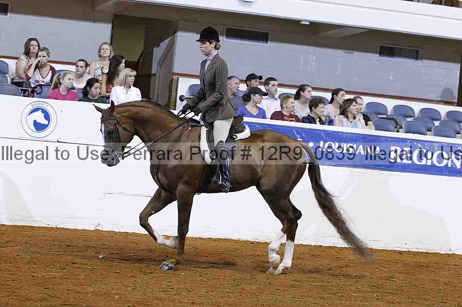 Proof Number 12r9_0839