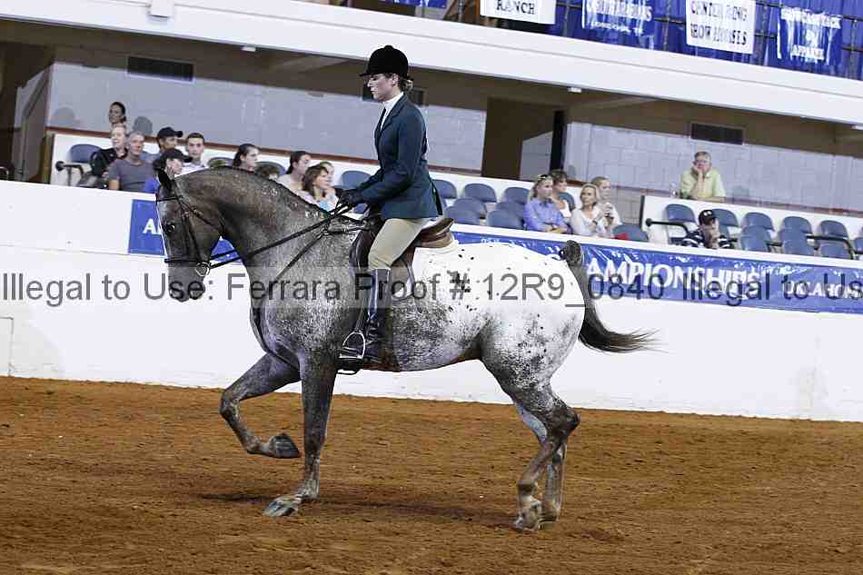 Proof Number 12r9_0840