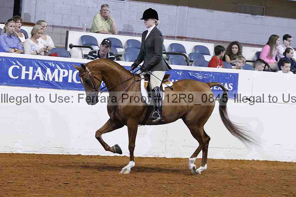 Proof Number 12r9_0845