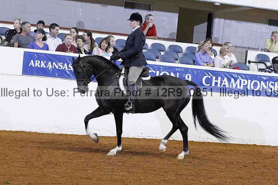 Proof Number 12r9_0851