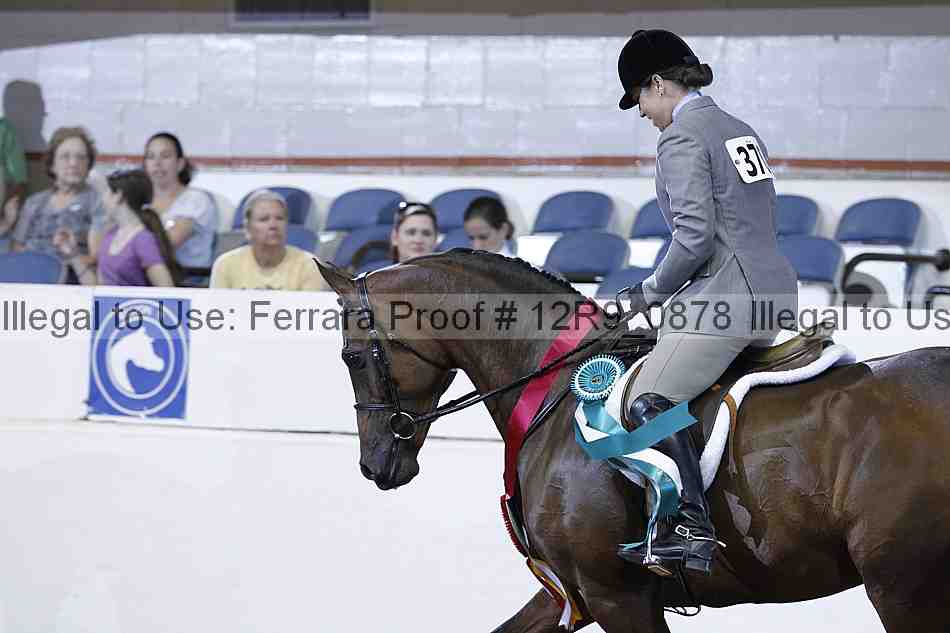 Proof Number 12r9_0878
