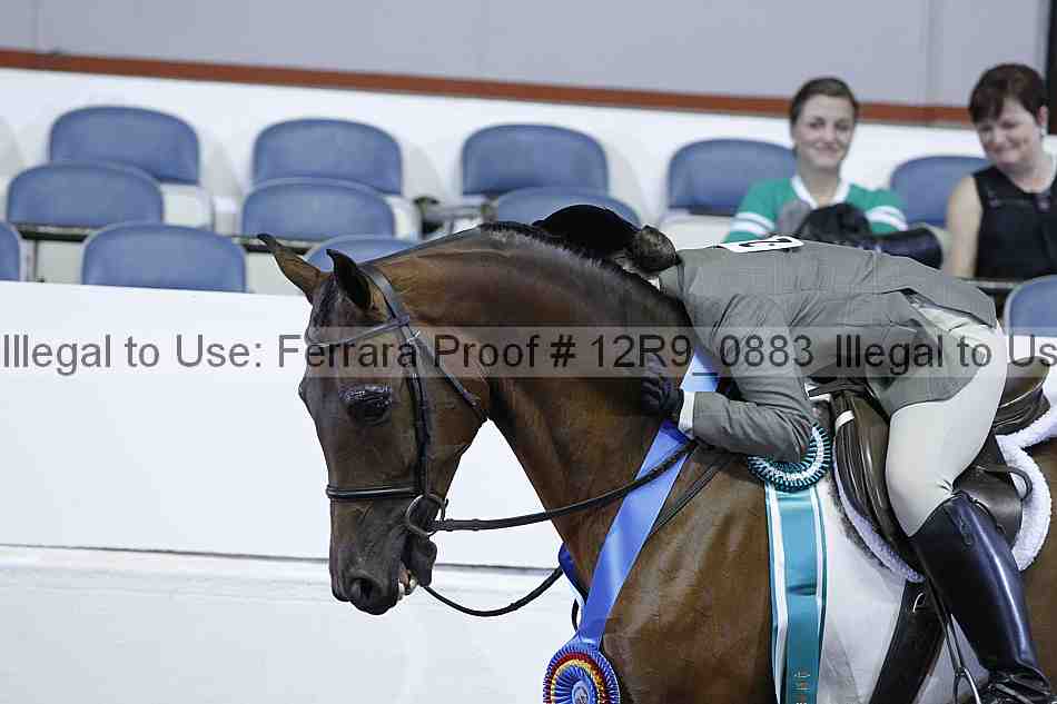 Proof Number 12r9_0883