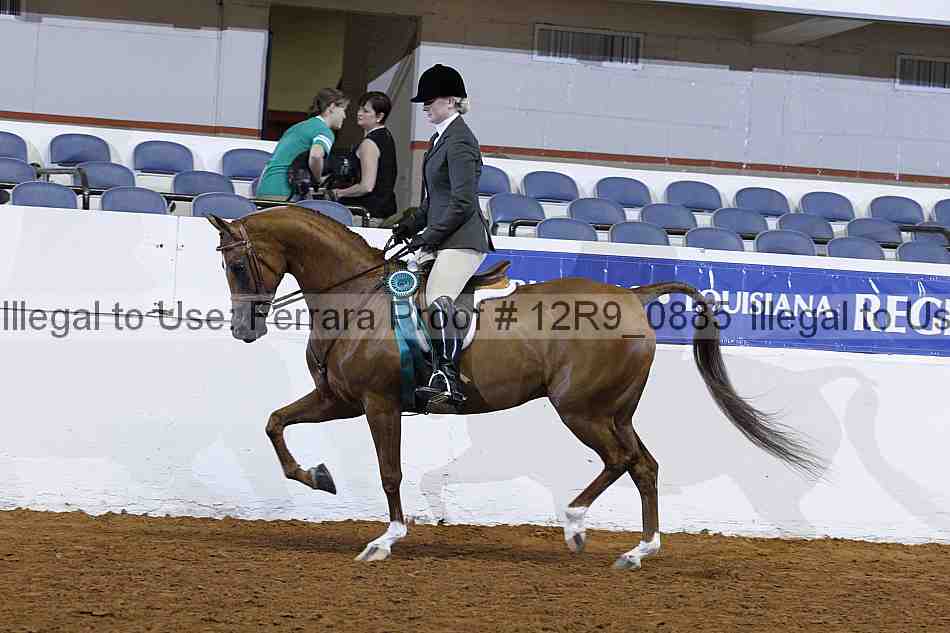 Proof Number 12r9_0885