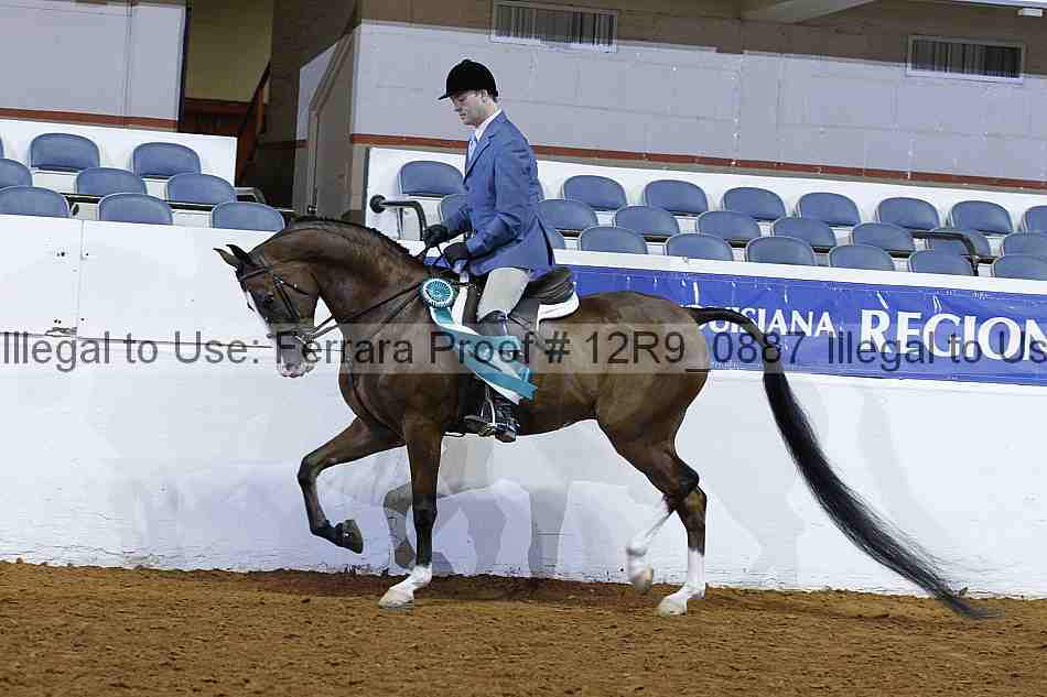 Proof Number 12r9_0887