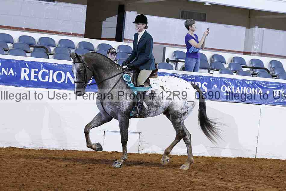 Proof Number 12r9_0890