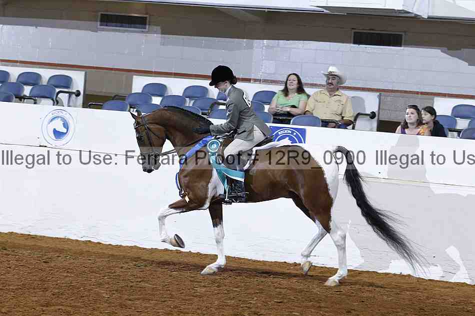 Proof Number 12r9_0900