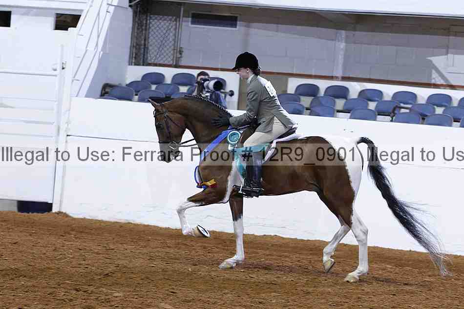 Proof Number 12r9_0901