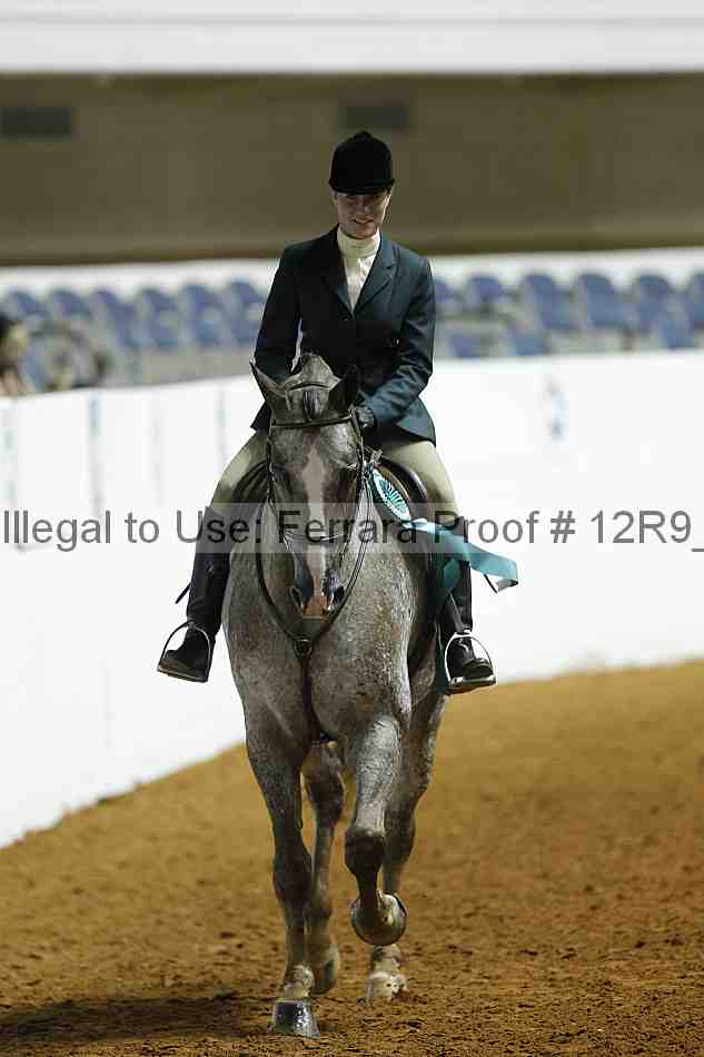 Proof Number 12r9_0902