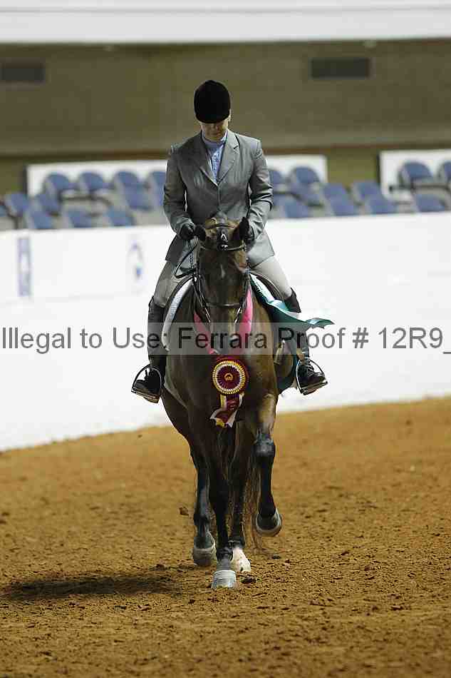Proof Number 12r9_0903