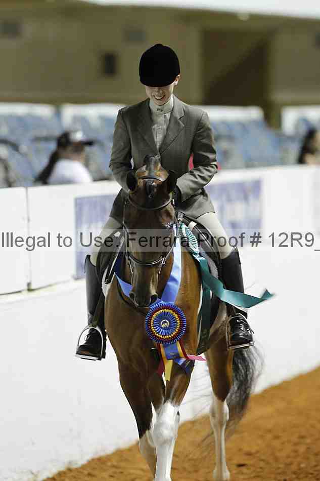 Proof Number 12r9_0908
