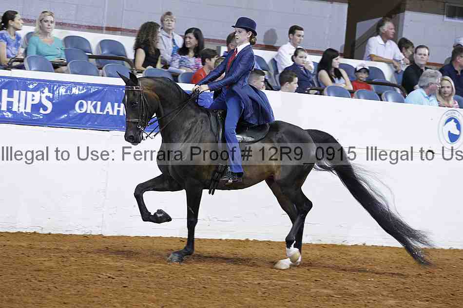 Proof Number 12r9_0915