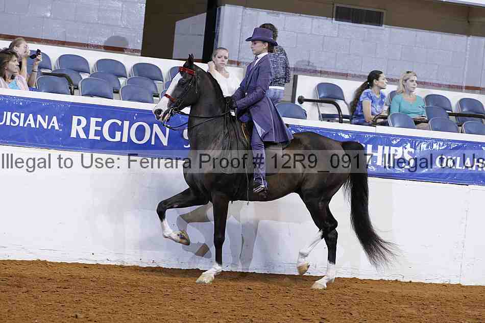 Proof Number 12r9_0917