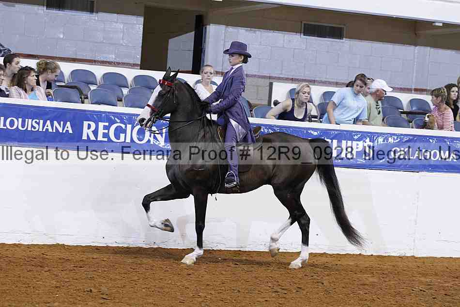 Proof Number 12r9_0928