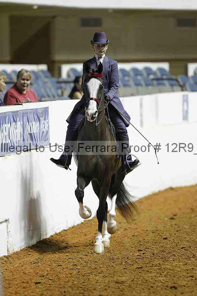 Proof Number 12r9_0933
