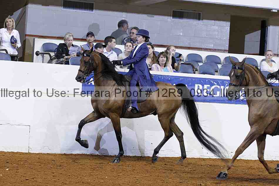 Proof Number 12r9_0934