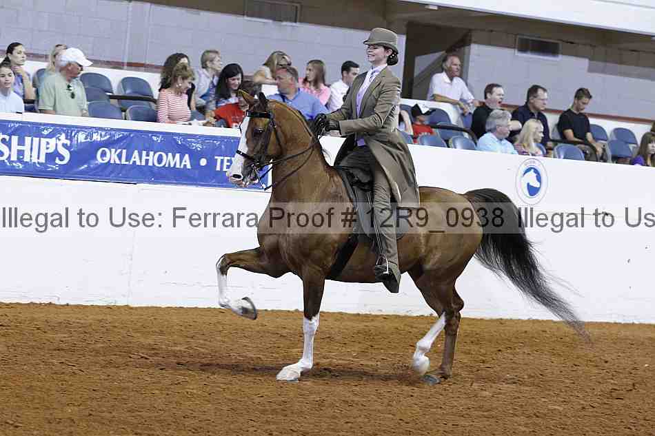 Proof Number 12r9_0938