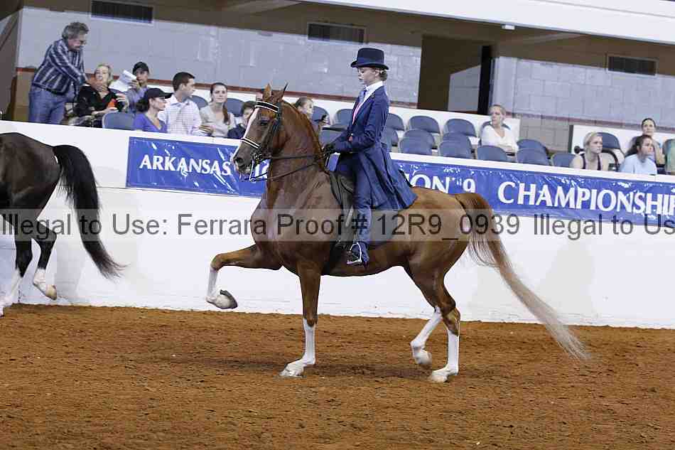 Proof Number 12r9_0939
