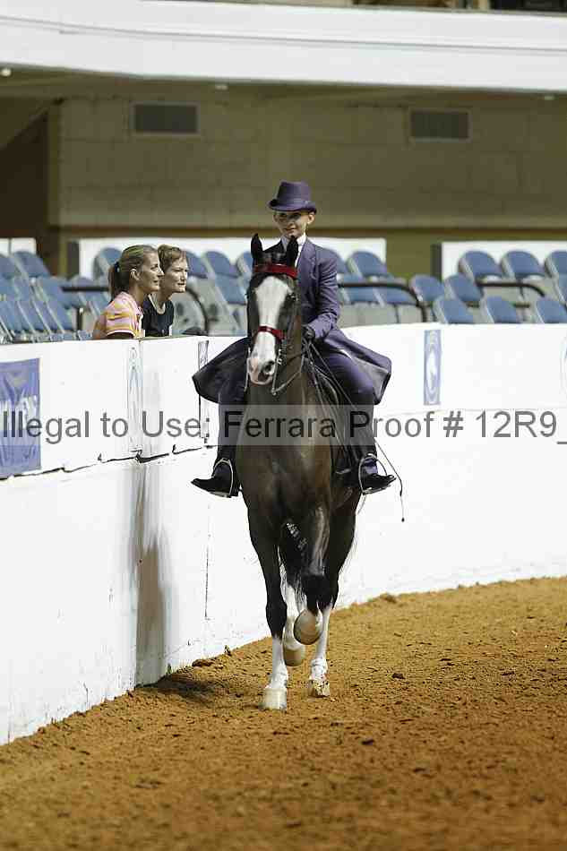 Proof Number 12r9_0940