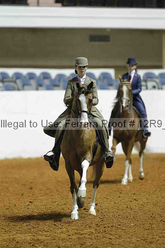 Proof Number 12r9_0943