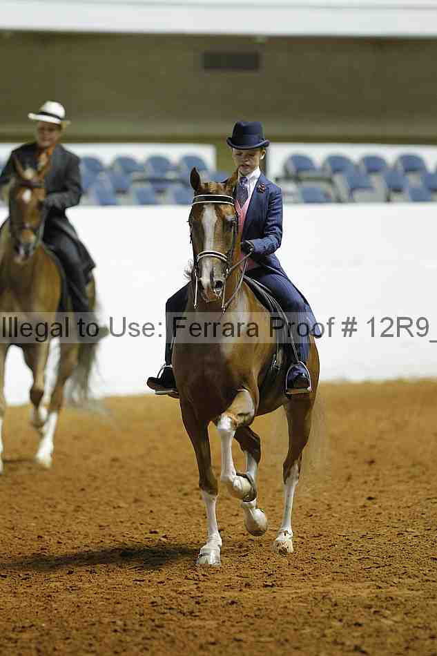 Proof Number 12r9_0944