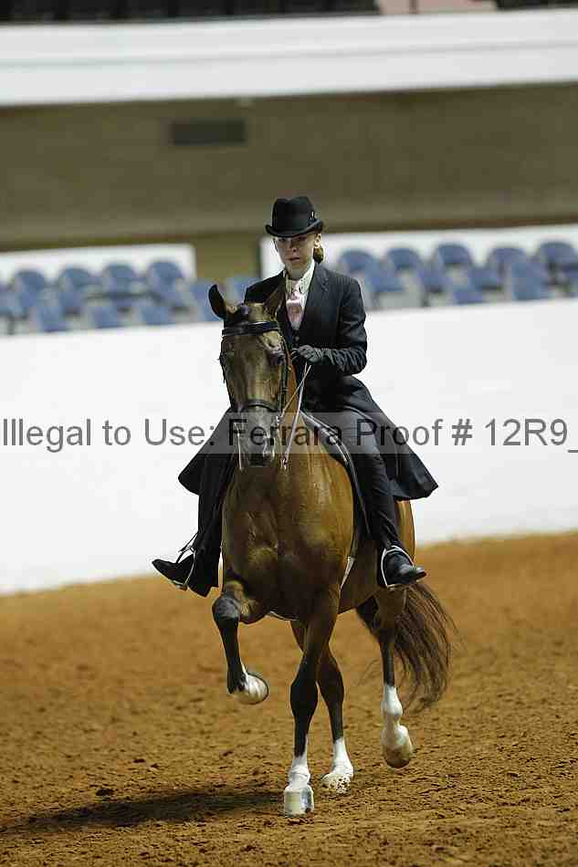 Proof Number 12r9_0945