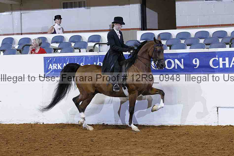 Proof Number 12r9_0948