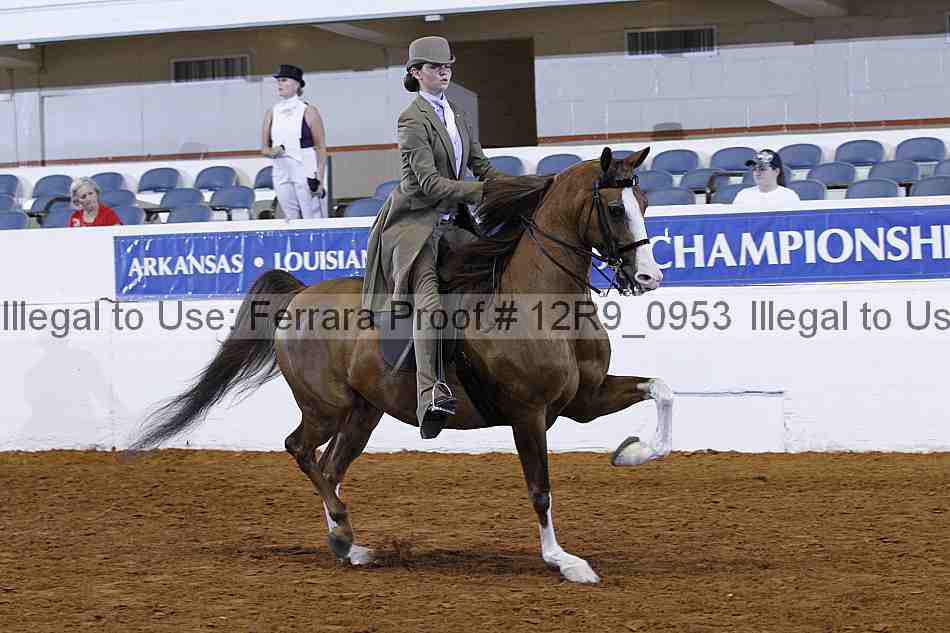 Proof Number 12r9_0953