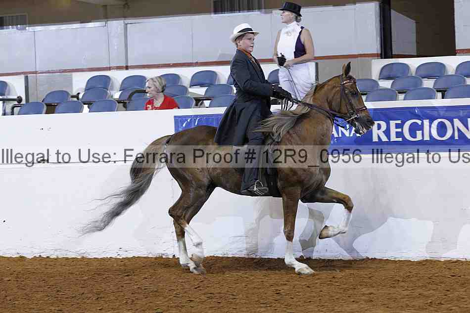 Proof Number 12r9_0956