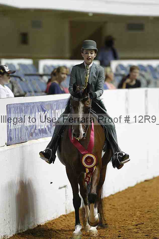 Proof Number 12r9_0962