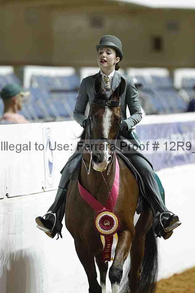 Proof Number 12r9_0963