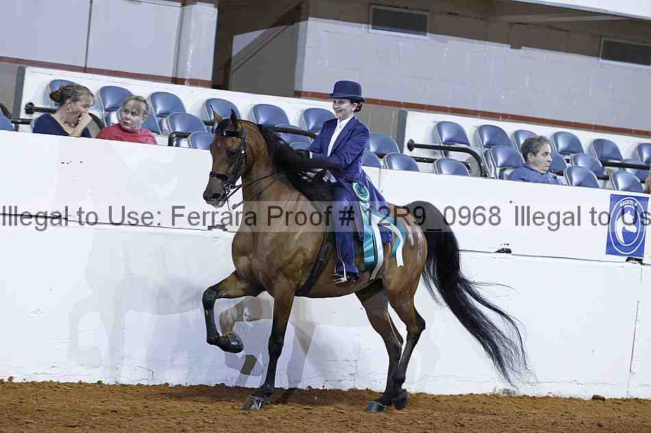 Proof Number 12r9_0968