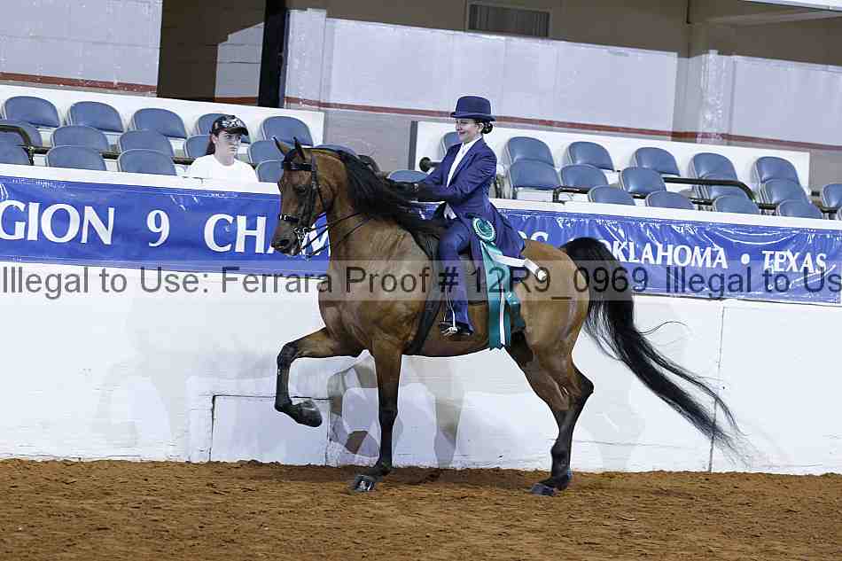 Proof Number 12r9_0969