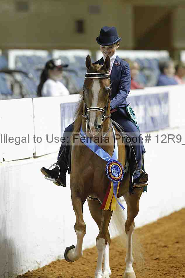 Proof Number 12r9_0970